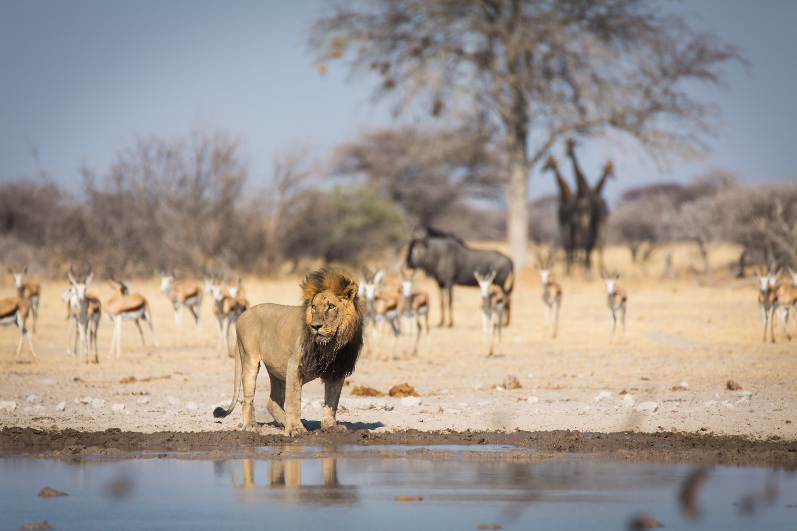 Nxai Botswana’s National Parks