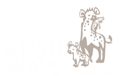 bushways-footer-logo