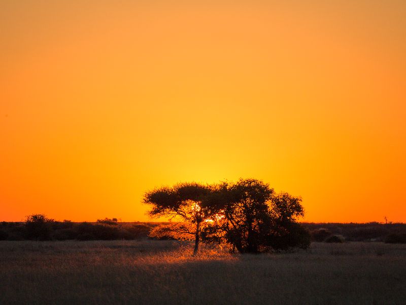 Sunset in Central Kalahari