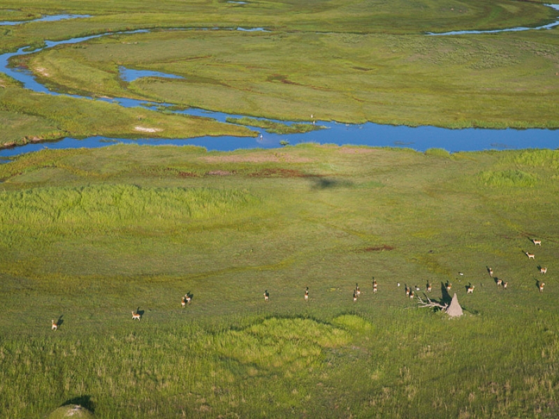 Top view of okavango delta