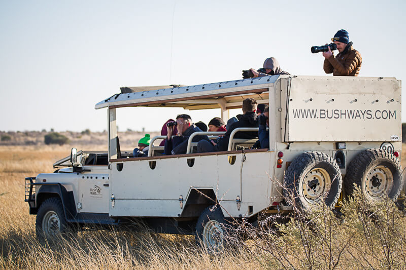 Read more about the article Vehicles Gallery