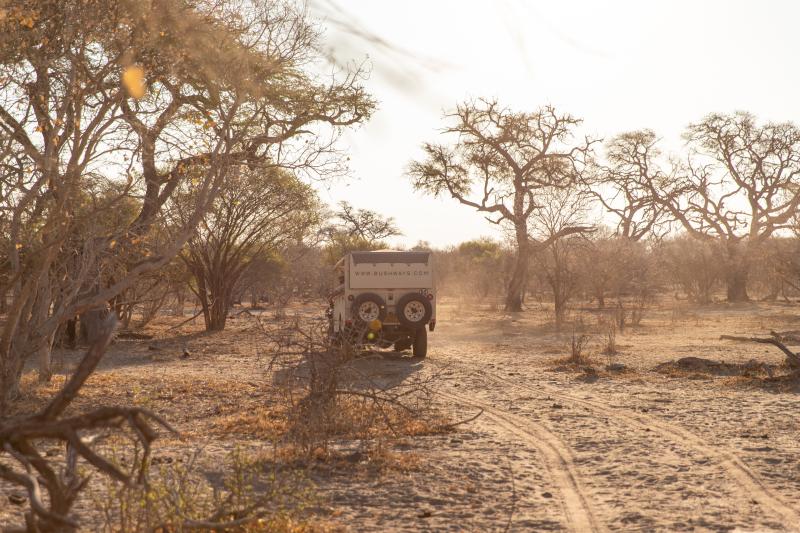 safari car