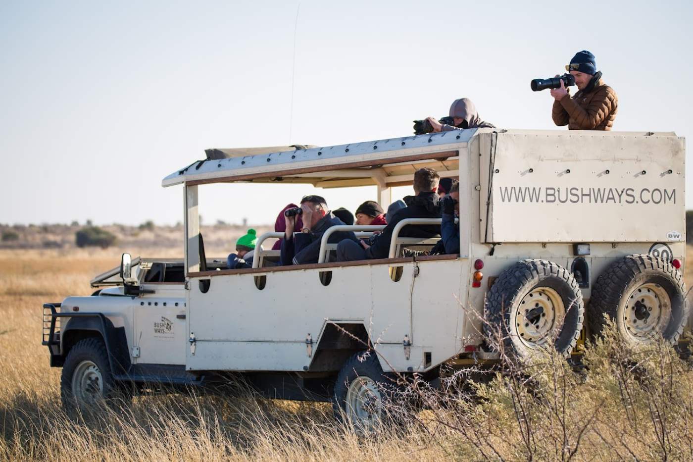 safari cars